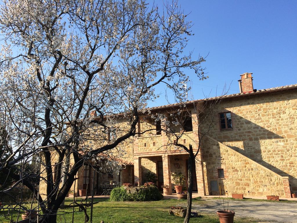 Agriturismo Podere San Gregorio Pienza Eksteriør bilde