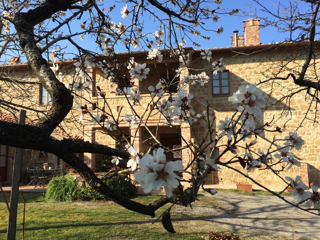 Agriturismo Podere San Gregorio Pienza Eksteriør bilde