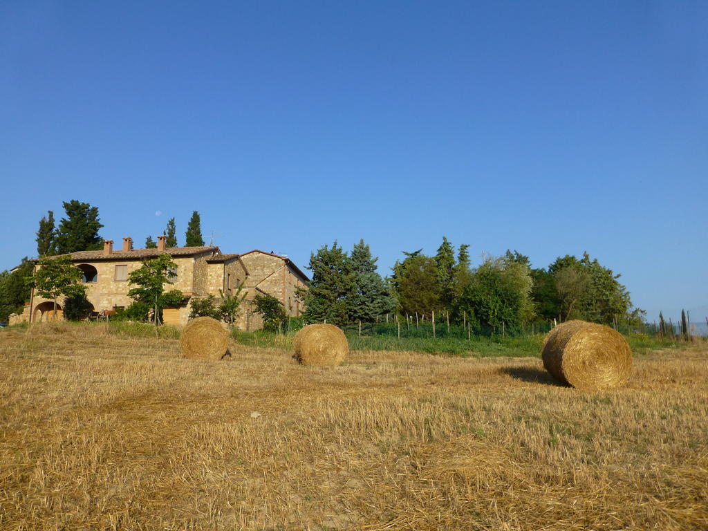 Agriturismo Podere San Gregorio Pienza Eksteriør bilde